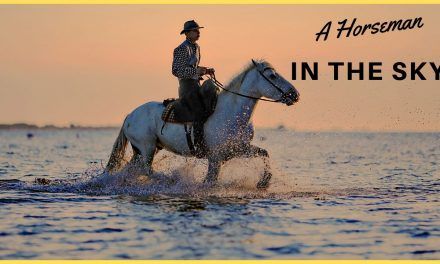 A HORSEMAN IN THE SKY  by Ambrose Bierce