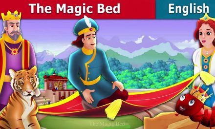 the magic bed