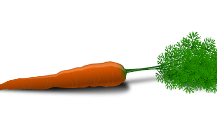 Carrot