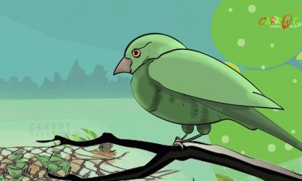 The Swallow and the Other Birds