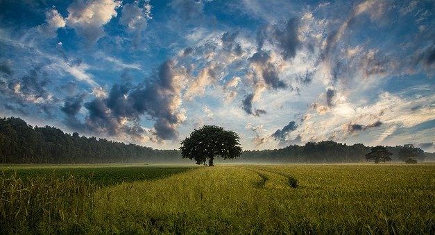Clouds | What is a cloud?