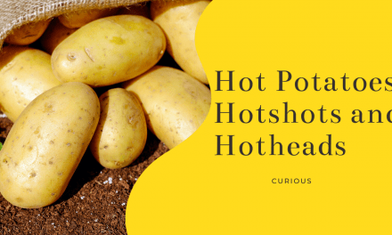 Hot Potatoes, Hotshots and Hotheads