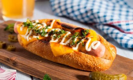 LA HISTORIA DE LA PALABRA -HOT DOG